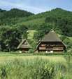 Im Vogtsbauernhof im Schwarzwald werden die Besucher des Freilichtmuseums in Gutach wieder die Möglichkeit haben, sich bis zum 2. November 2008 auf eine Zeitreise durch die Schwarzwälder Kulturgeschichte zu begeben.