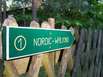 Nordic-Walking im Schwarzwald