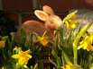 Ostern Schwarzwald