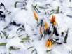 Osterwetter Schwarzwald: Winterliche Ostern 2008