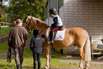 Reiten im Schwarzwald