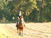 Reiterferien Schwarzwald Reiturlaub Reiterferien Schwarzwald Reiturlaub
