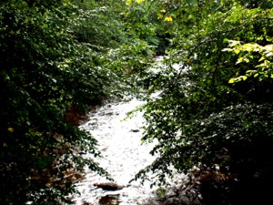 Sieben Täler bei Gengenbach Sieben Täler bei Gengenbach