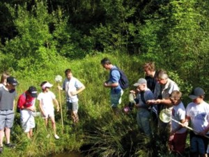 Wandern im Nagoldtal Wandern im Nagoldtal