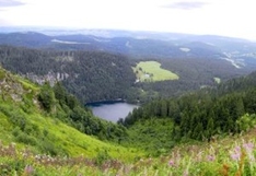 Feldberg – Der Höchste Berg