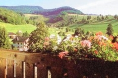 Schwarzwald-Hotels Schwarzwald-Hotels