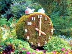 Last Minute-Urlaub Schwarzwald