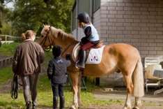 Reiten im Schwarzwald