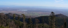Schwarzwald und Vogesen