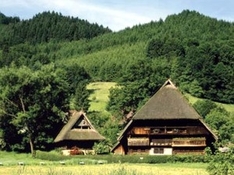 Immobilien Kauf Adressen Schwarzwald
