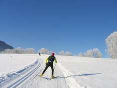 Thurner im Hochschwarzwald