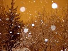 Weihnachtswelt