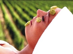 Wellness-Urlaub im Schwarzwald Wellness-Urlaub im Schwarzwald