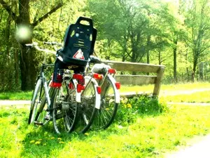 Fahrrad–Touren im Schwarzwald