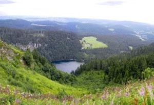 Feldberg – Der Höchste Berg Feldberg – Der Höchste Berg