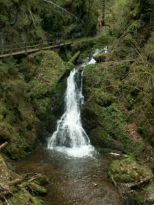 Neuer Wanderweg im Schwarzwald eröffnet