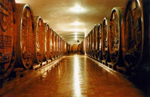 Badischer Winzerkeller