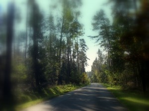 Biketour–Nordschwarzwald