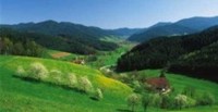 Ferienwohnung Schwarzwald privat vermieten