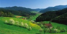 Ferienwohnung Schwarzwald inserieren