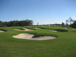 Golfen im Schwarzwald