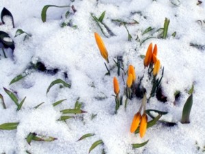 Osterwetter Schwarzwald: Winterliche Ostern 2008
