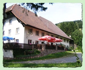 Gasthof-Pension Pflug