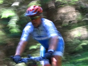 Deutsche Meisterschaften Mountainbike 2008