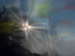 Sagen im Schwarzwald: Weihnachten und Dreikönig, Lostage und Raunächte
