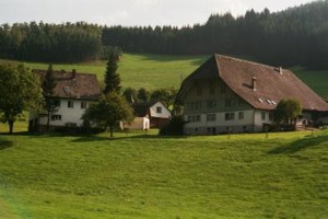 Schwarzwald-Haus