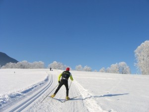 Thurner im Hochschwarzwald