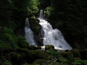 Seen Flüsse Quellen Schwarzwald