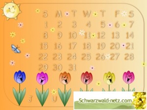 Veranstaltungskalender Waldshut-Tiengen