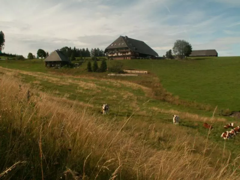 Schwarzwaldhof im Hochschwarzwald