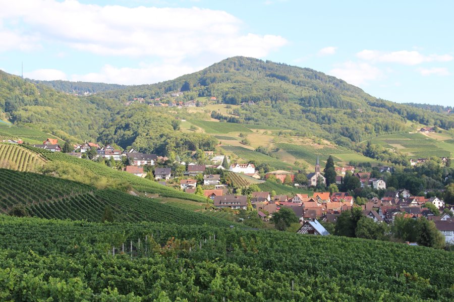 Sasbachwalden und die Weinberge vom Schelzberg aus gesehen.