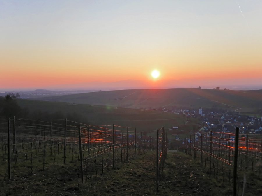 Blick auf Pfaffenweiler im Breisgau