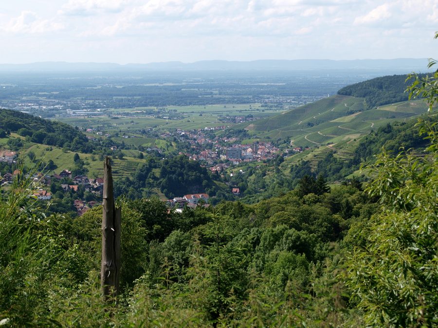 Blick über Bühlertal zur Rheinebene im Schwarzwald