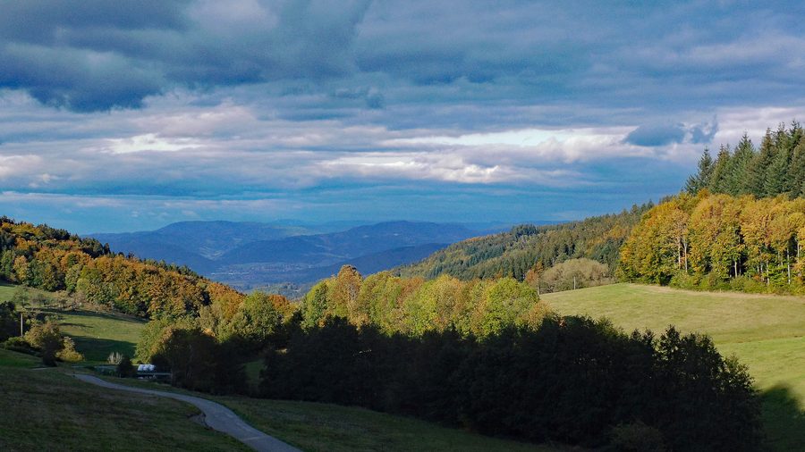 Schwarzwald bei Schweighausen im südlichen Ortenaukreis
