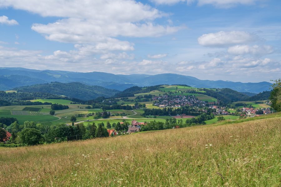 Blick auf Sankt Peter im Schwarzwald