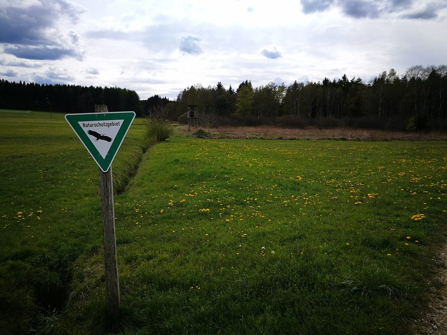 Naturschutzgebiet Waltere Moor bei Hohenfels im Landkreis Konstanz