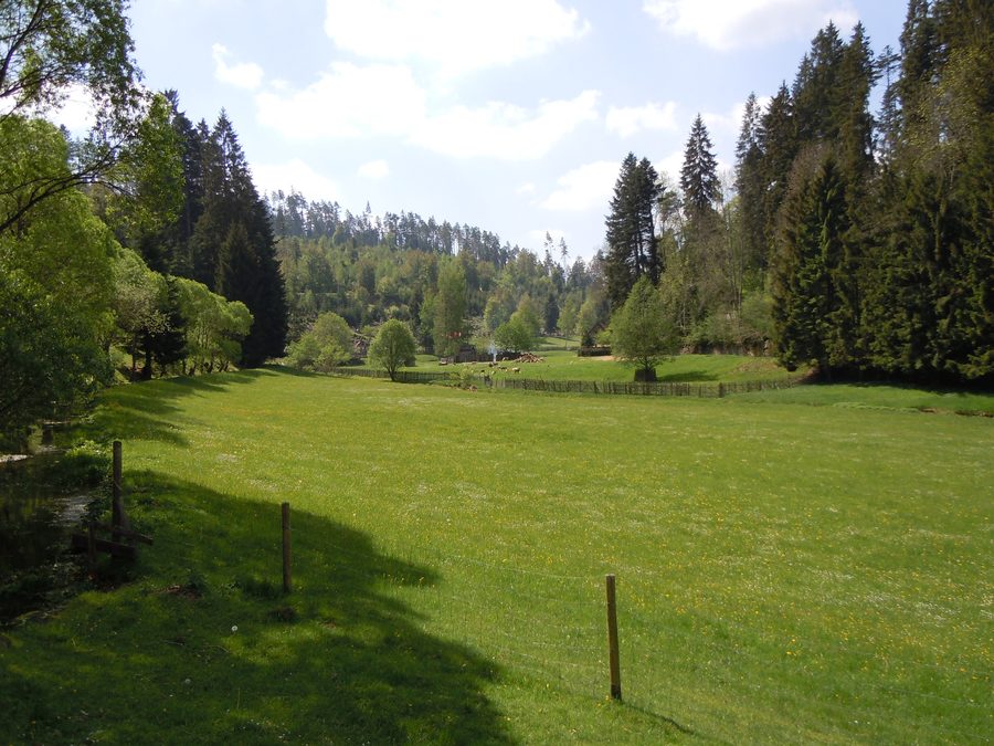 Zinsbachtal bei Pfalzgrafenweiler mit bewaldeten Hängen