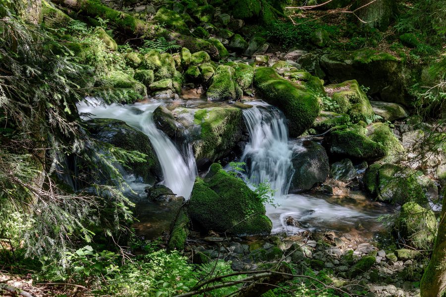 Felsige Teichschlucht bei Gütenbach mit Bachlauf, moosbewachsenen Steinen und schmalem Steg