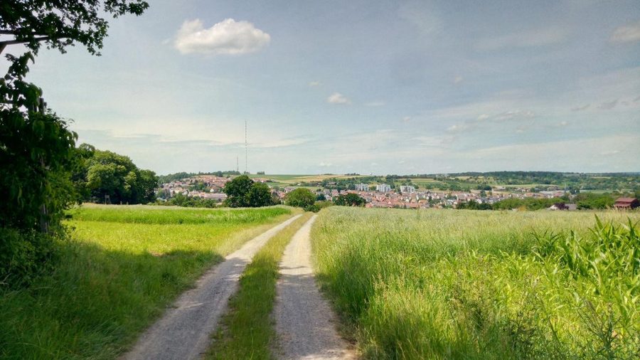 Blick von einem Radweg zwischen Großglattbach und Lomersheim auf Lomersheim und das Enztal