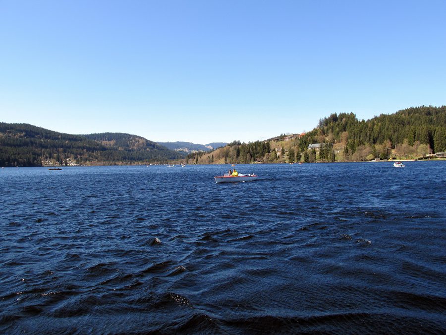 Blick auf den Titisee im Landkreis Breisgau-Hochschwarzwald