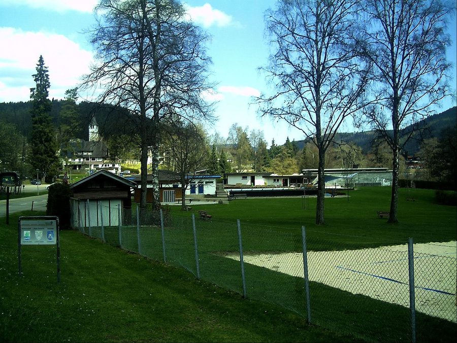 Uferbereich des Titisees mit bewaldeten Hängen im Hochschwarzwald