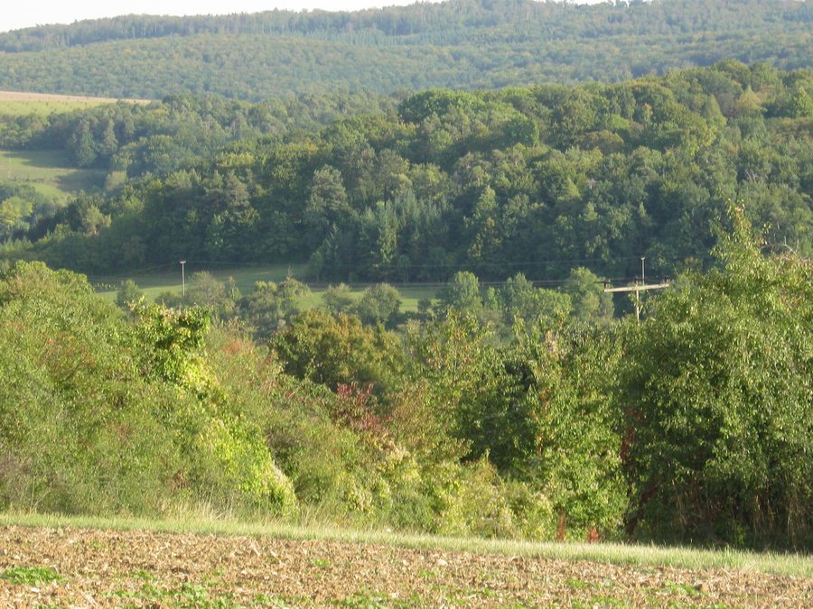 Blick von Serres Richtung Süden