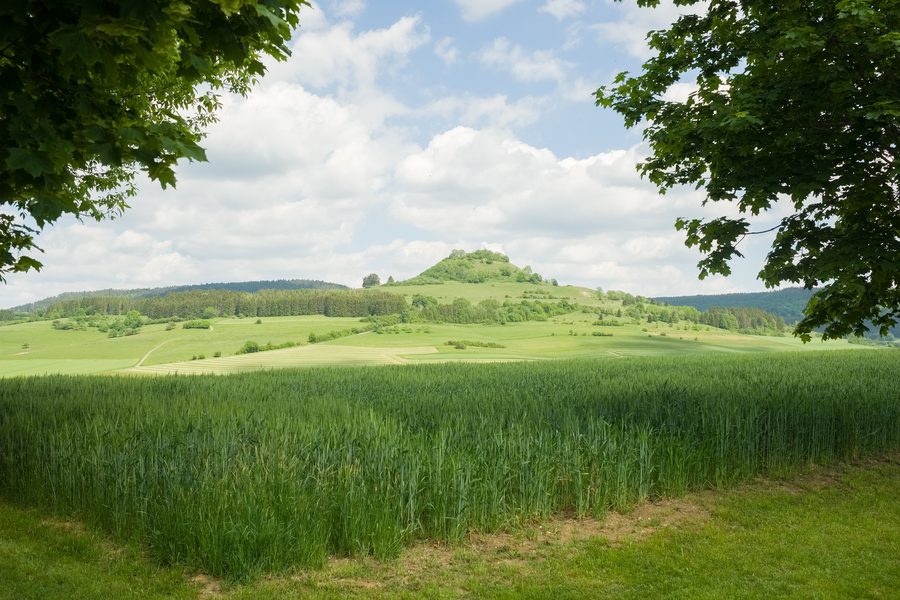 Hohenkarpfen bei Gunningen im Landkreis Tuttlingen