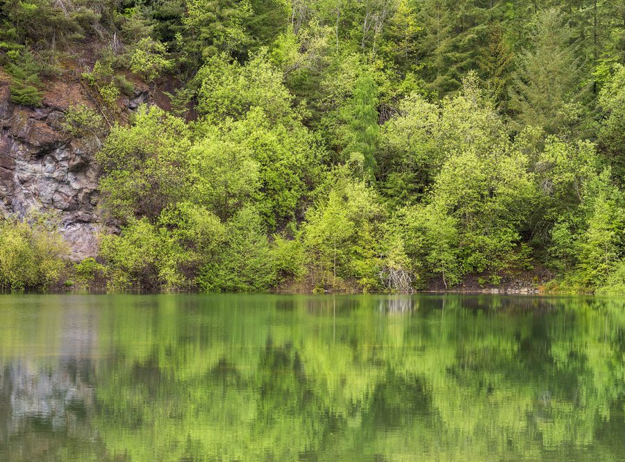 Katzenbuckelsee mit Felsen, Büschen und Bäumen im Umfeld von Eberbach