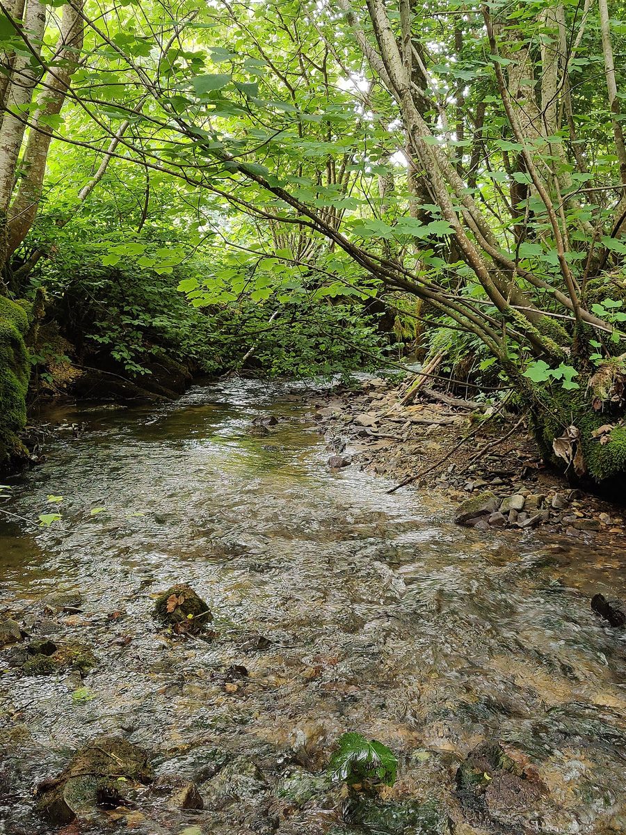 Landschaftsschutzgebiet Krebsbachtal bei Eigeltingen im Landkreis Konstanz