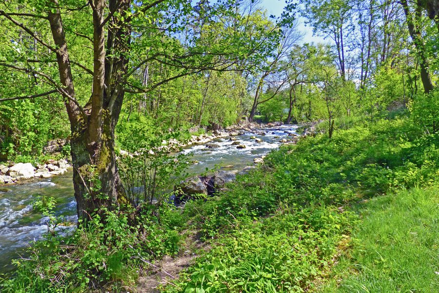 Die Lauter zwischen Wendlingen und Bodelshofen mit Ufervegetation